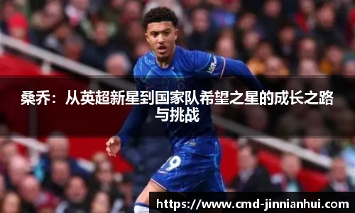jinnianhui金年会